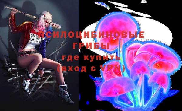дурь Балахна