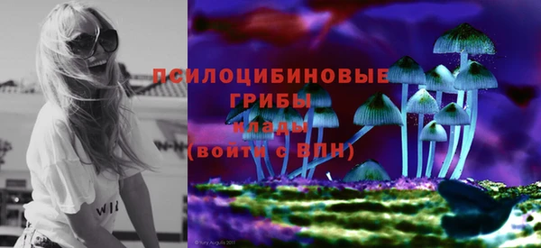 дурь Балахна
