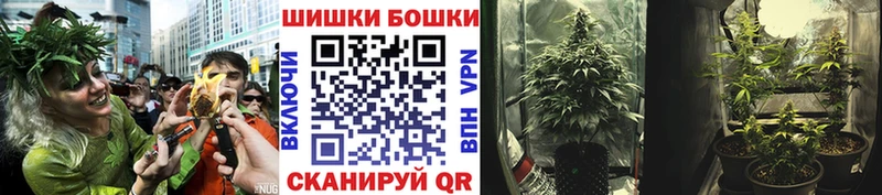 цены наркотик  Губкин  Бошки марихуана индика 
